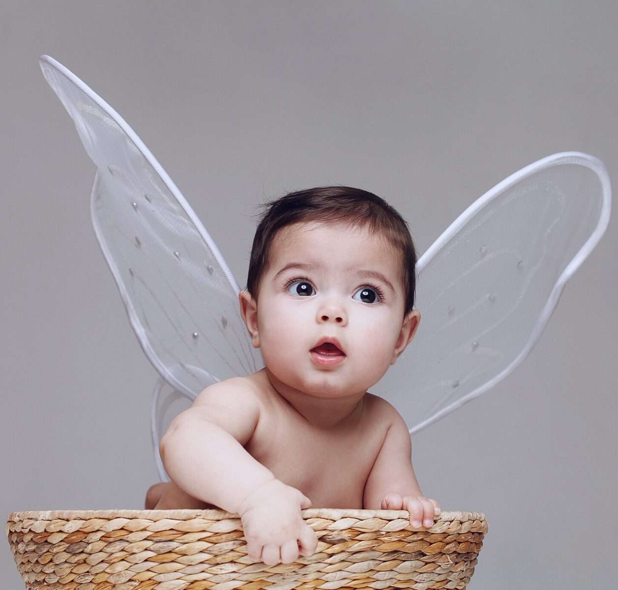 Bébé avec des ailes de fée dans un panier, séance photo bébé au Studio Lenoir Paris